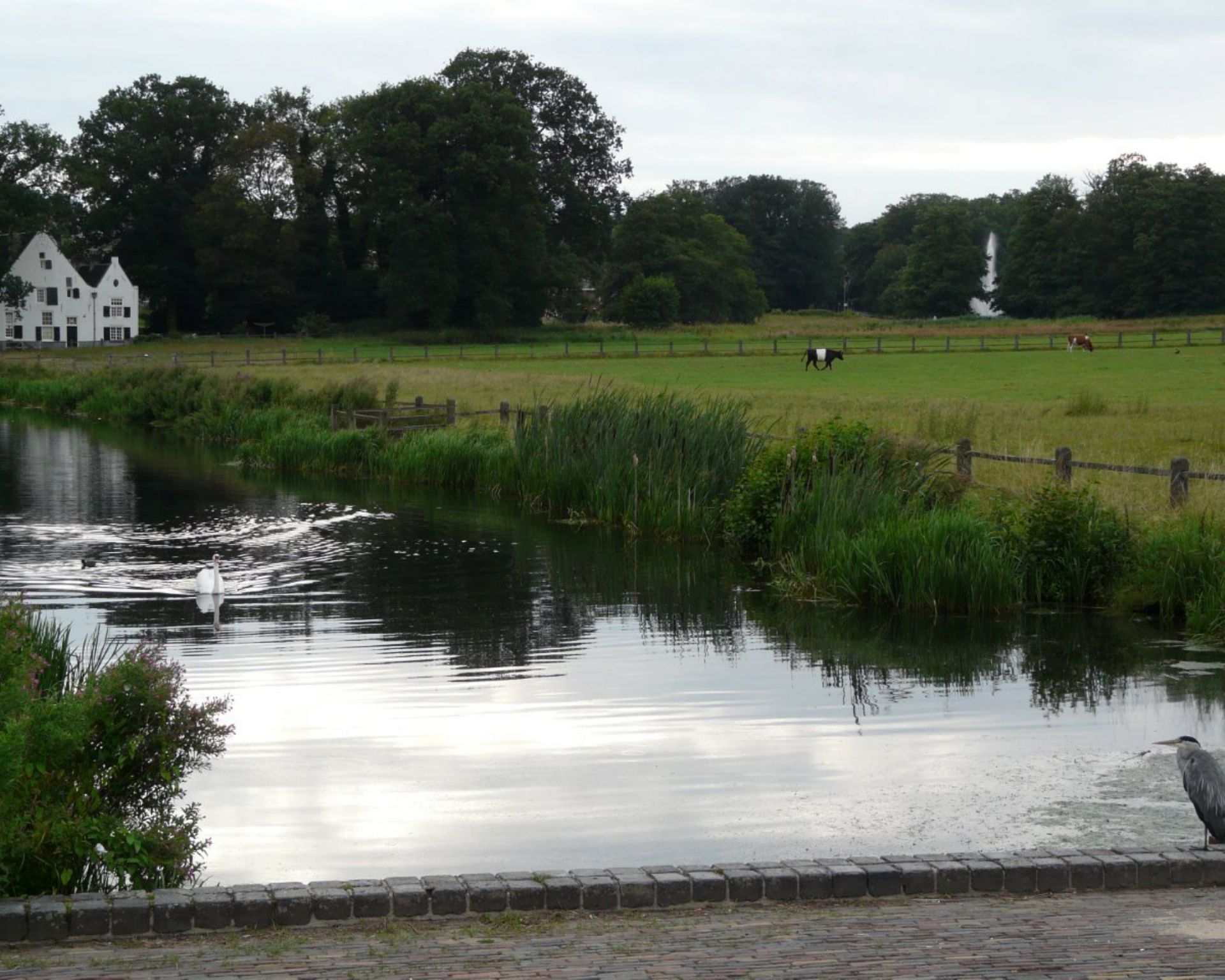 In het boek van het klooster staat dat Arnhem aan een beek lag. Dit was niet de Rijn, maar de Jansbeek. 
Wat weet jij eigenlijk over de Jansbeek?