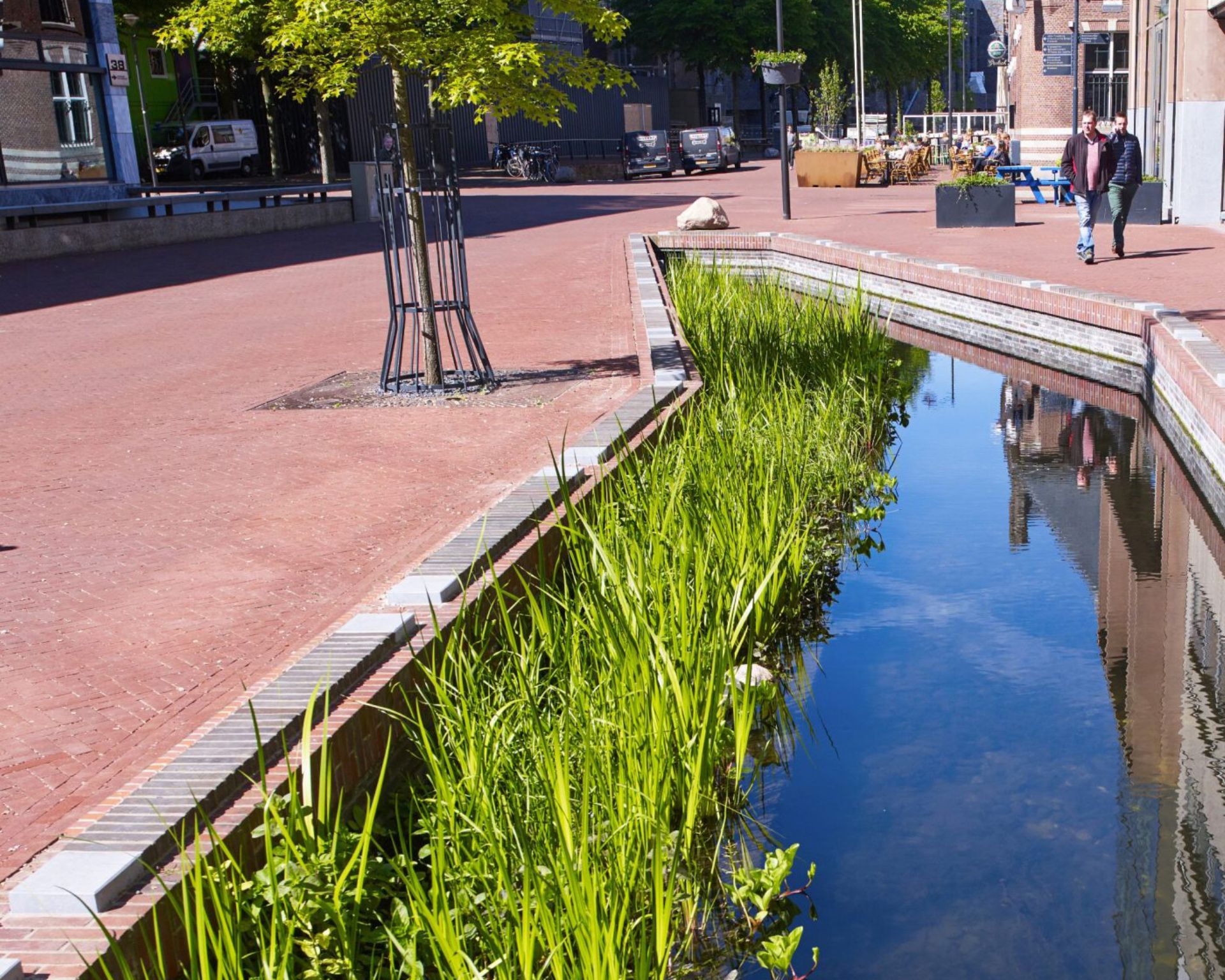 Dieren en planten in de stad konden minder makkelijk aan water komen.