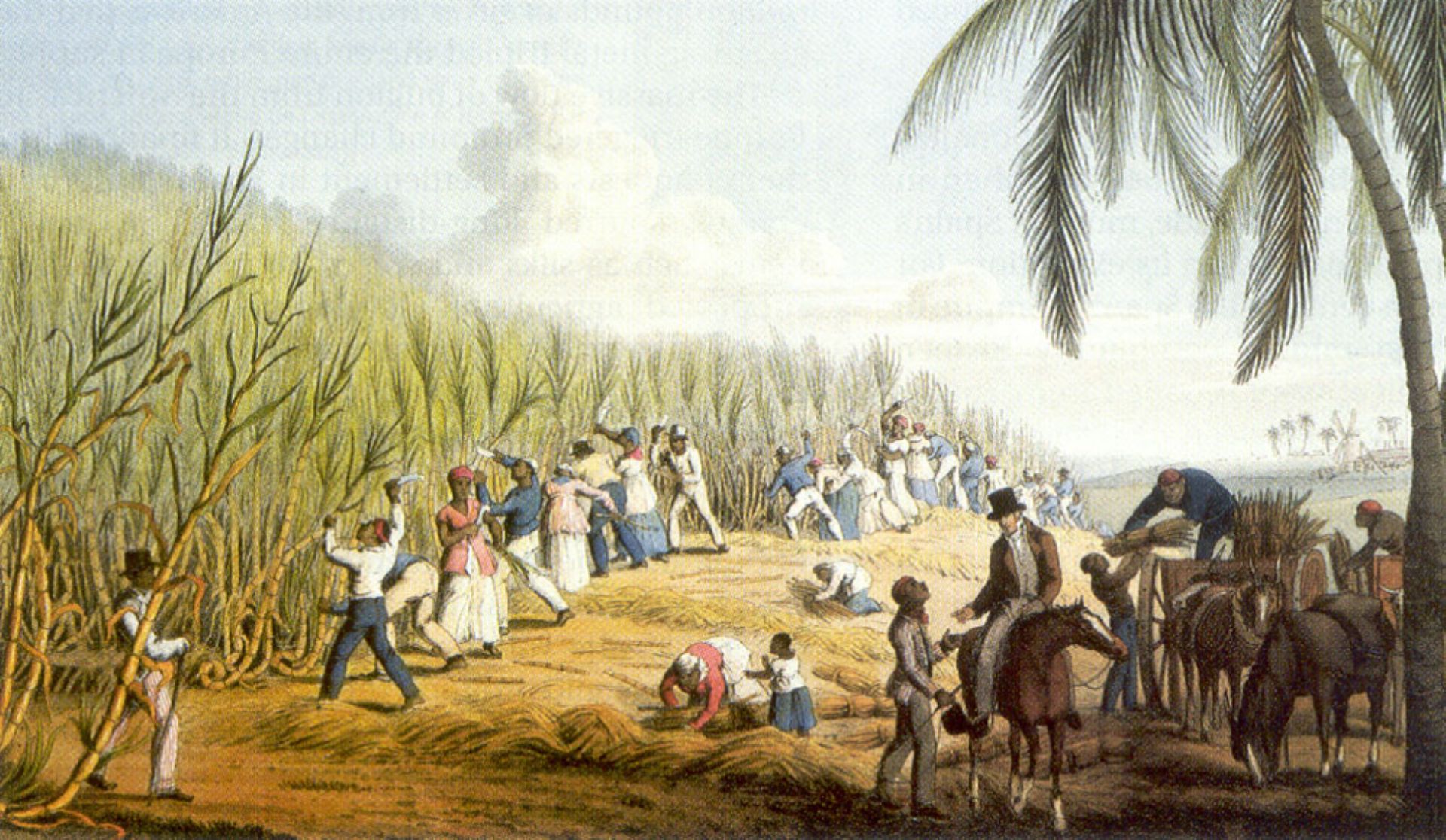 Nederland verdiende veel geld in Indonesi en ook in andere kolonin, zoals Suriname en de Nederlandse Antillen. Dat komt voornamelijk omdat ze Afrikaanse mensen tot slaaf maakten en deze dwongen te werken op plantages in de kolonin. Deze mensen werden gezien als bezit van de plantagehouder en werden zeer slecht behandeld.