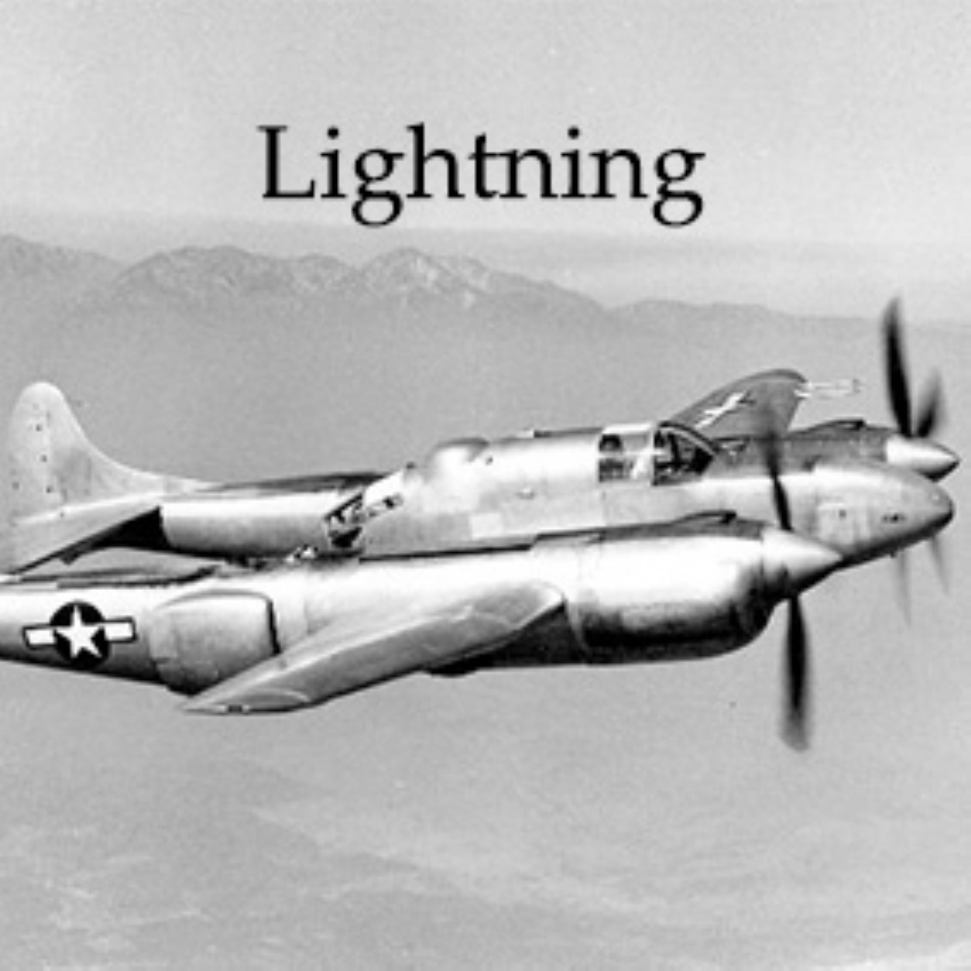 n het dagboek van Felix komen veel verschillende vliegtuigen voor. Hij kent alle vliegtuigen bij naam: Mitchells, Halifaxen en Stirlings. Later noemt hij ook Horsas, Typhoons, Thunderbolts, Mustangs, Spitfires and Lightnings. 
Op deze foto staat een Lightning vliegtuig.
