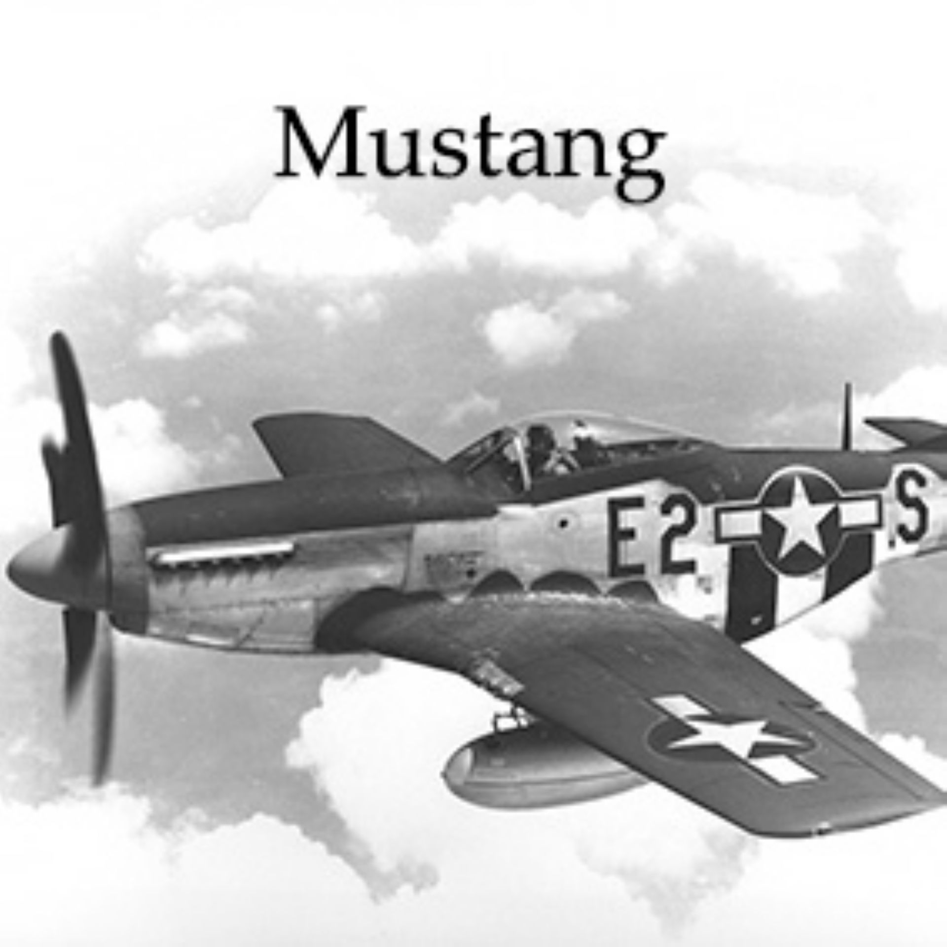 Hier is een Mustang te zien.