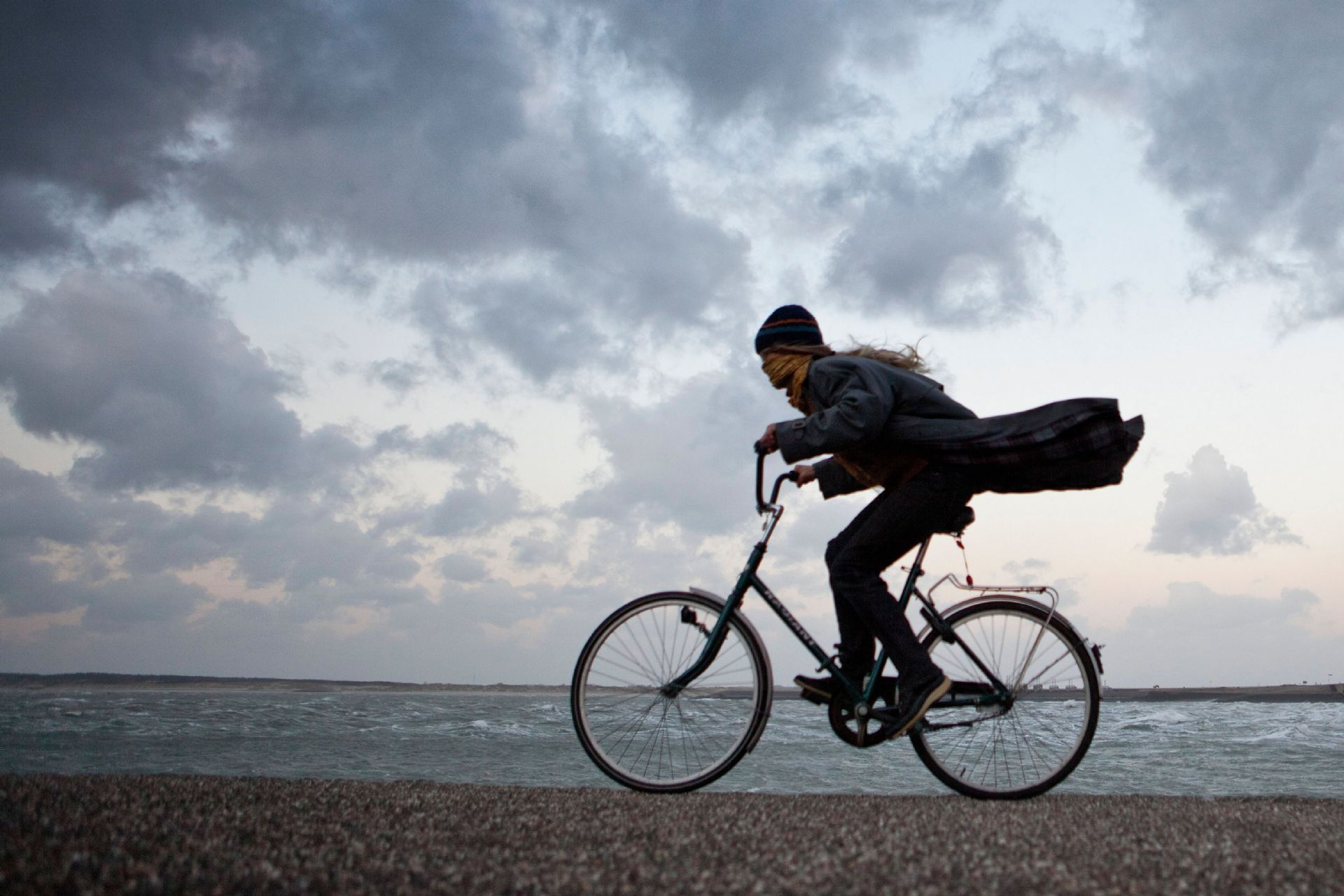 The Netherlands, Kamperland, Woman cycling against the stormy wind.